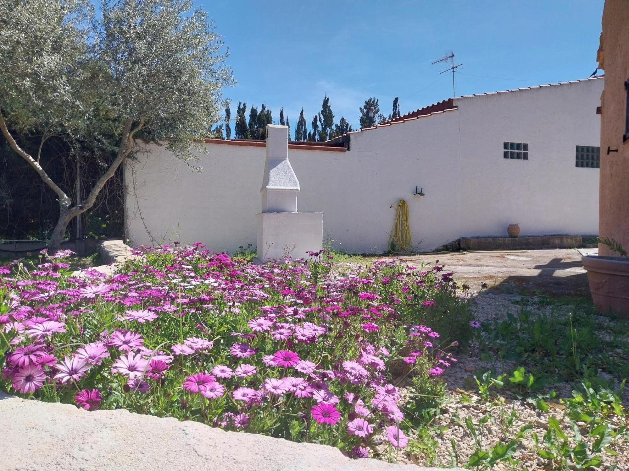 Casal Baratz Apartment Santa Maria la Palma Exterior photo